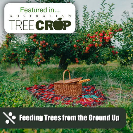 Feeding Trees 02