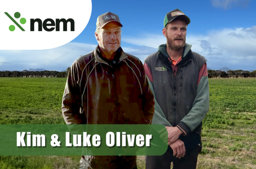 Kim Luke TESTIMONIAL