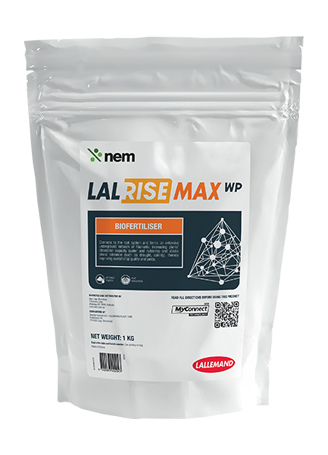 LAL RISE MAX WP Product CAROUSEL