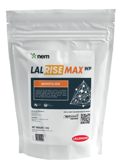 LALRISE MAX 02 v2