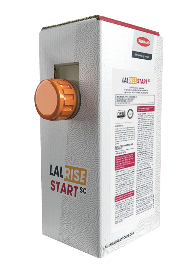 LALRISE START SC image