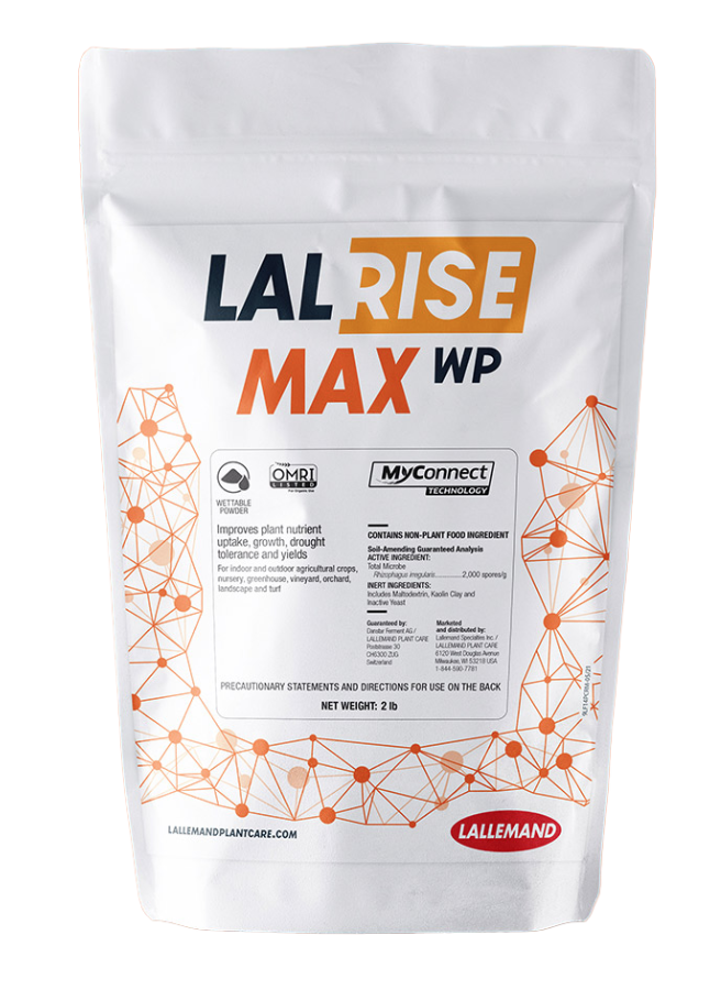 LALRISE MAX WP image