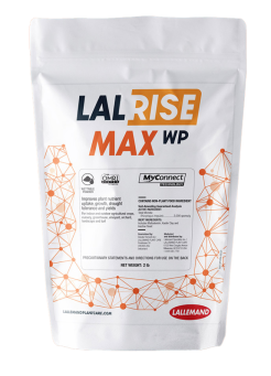 Lalrise MAX resize2x