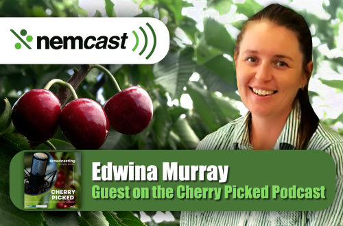 NEMcast Edwina WEBSITE v2