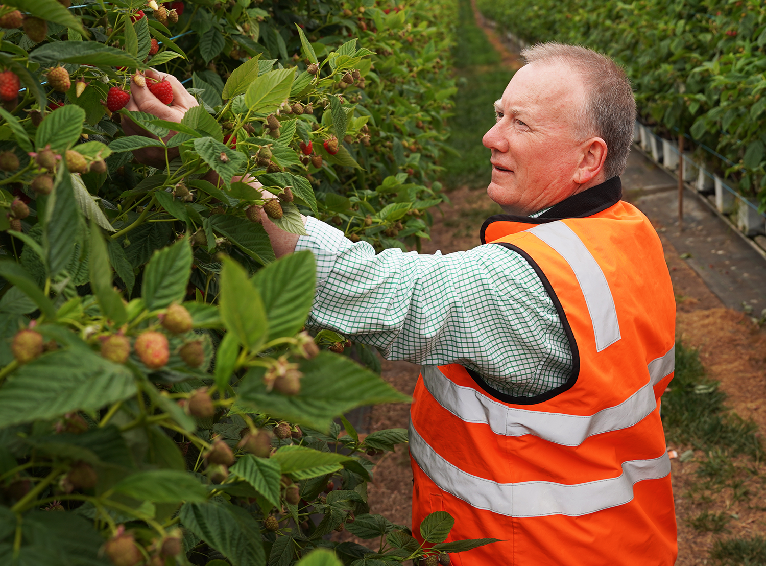 Rigorous SCIENCE 03 v4