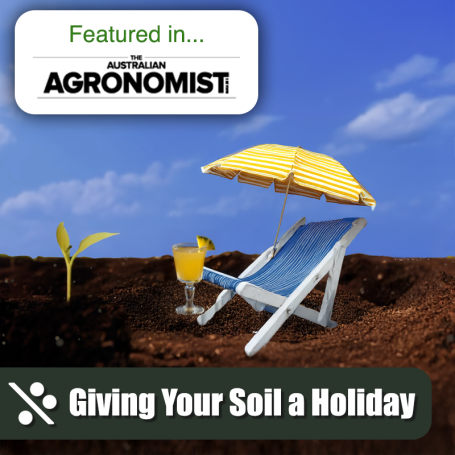 Soil Holiday 03