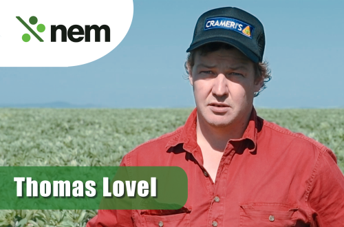 Thomas TESTIMONIAL web v3