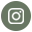 icon instagram 02