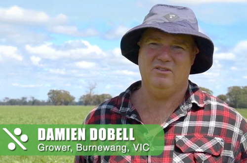 testimonials damien 02 v5