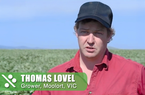 testimonials thomas 02 v2